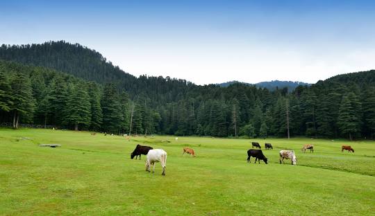 Delhi to Dalhousie Taxi